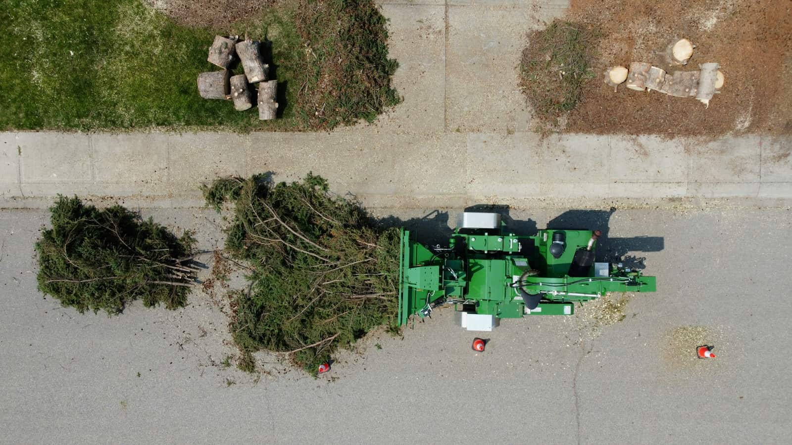 Root grinding service Charlotte NC